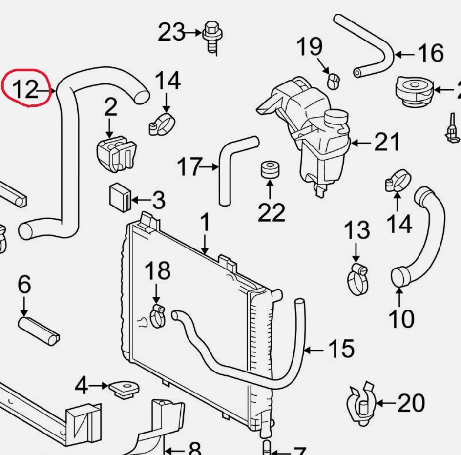 (送料込) メルセデス ベンツ R170 SLK230 ラジエーターホース【新品】_画像2