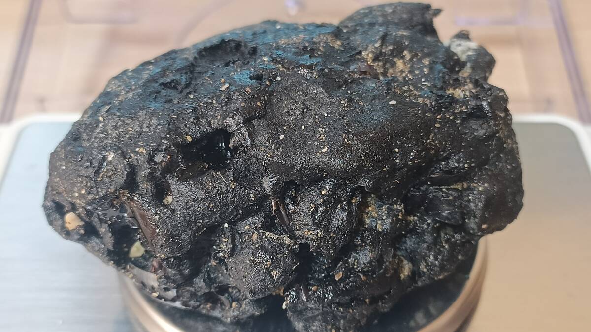 龍涎香 AMBERGRIS 0.2g 沖縄本島にて取得 5_画像4