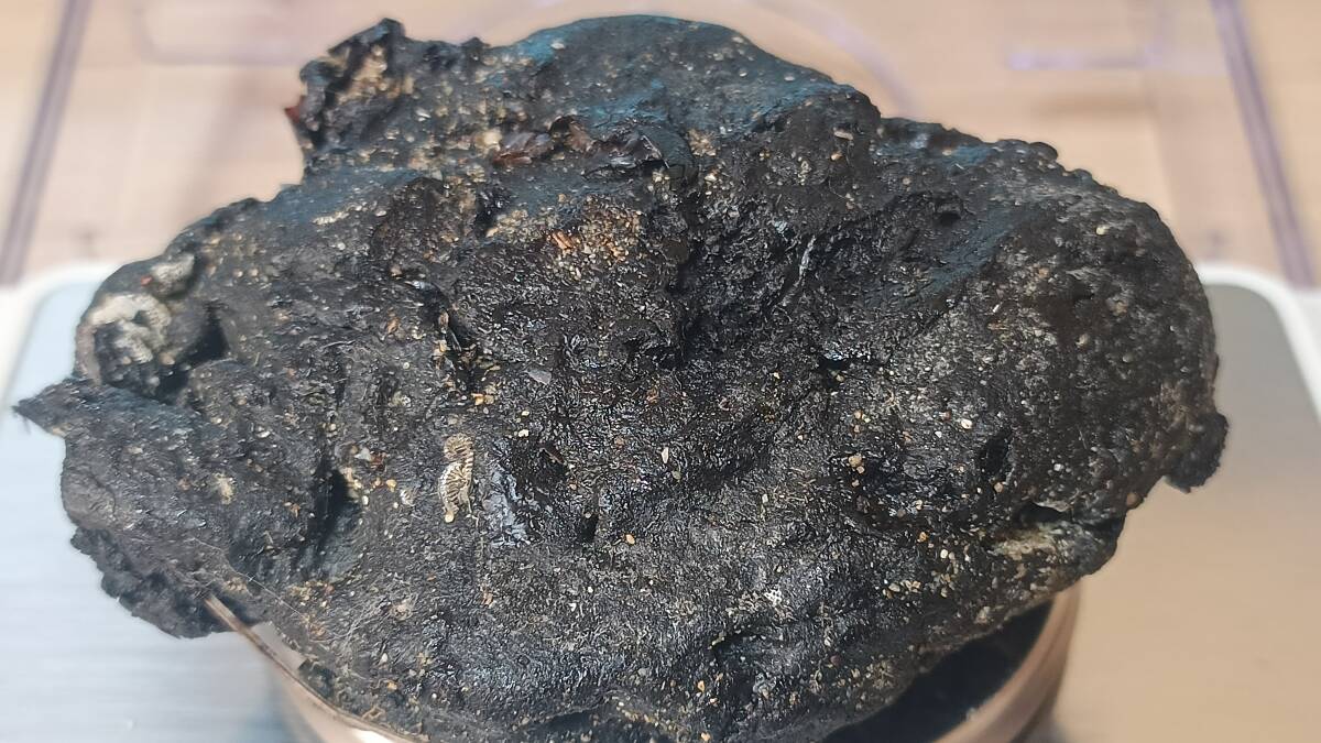 龍涎香 AMBERGRIS 0.2g 沖縄本島にて取得 5_画像5