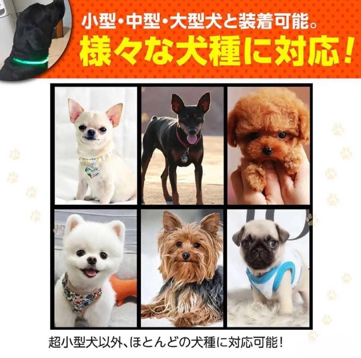  ошейник собака светится Rainbow 2 шт модный прогулка LED свет USB зарядка безопасность 