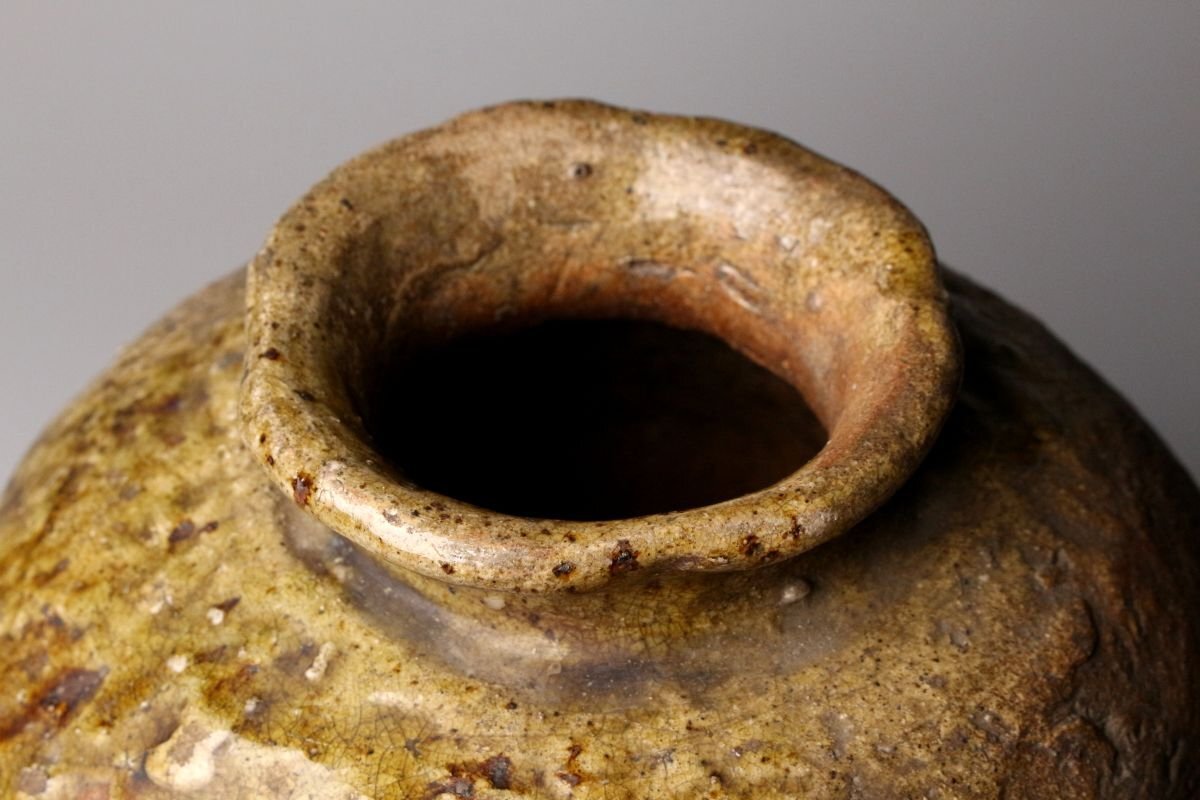 【LIG】古信楽 自然釉 蹲壷 25.5㎝ 日本古陶 古美術品 箱付 数奇者垂涎の的の逸品[.E]25.11_画像6