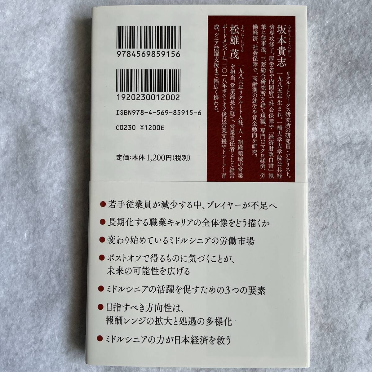 再雇用という働き方　ミドルシニアのキャリア戦略　坂本貴志　松雄茂　PHP新書_画像2