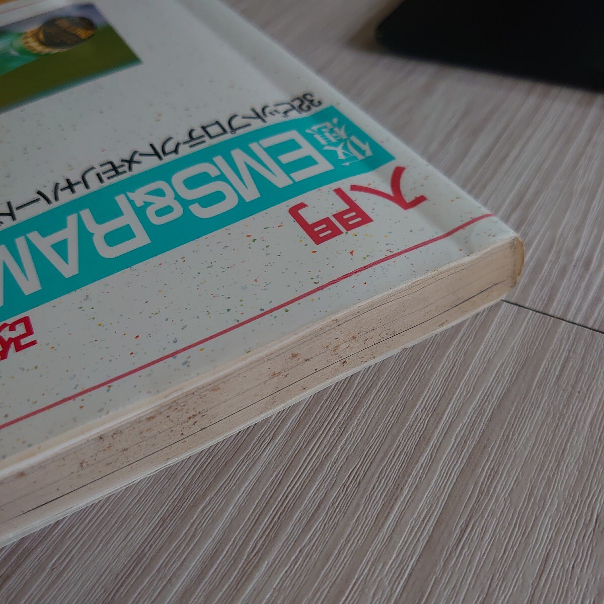 入門仮想ＥＭＳ＆ＲＡＭボード （改訂新版） 岡田勝由_画像2