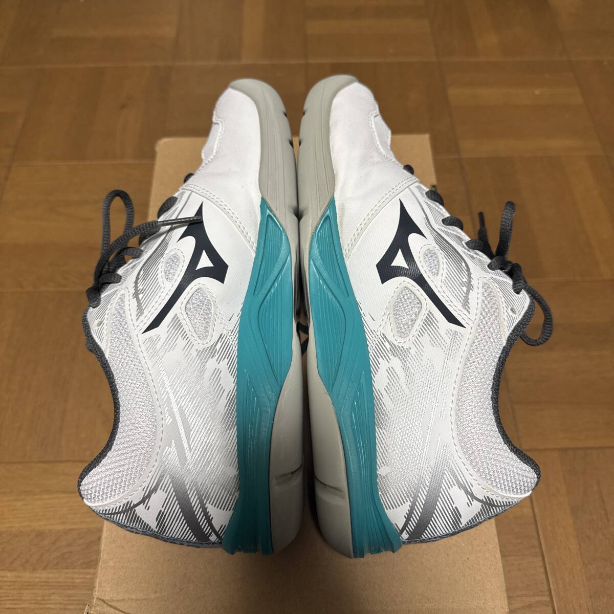 【使用３回】ミズノ テニスシューズ カーペット用 25.0cm_画像3