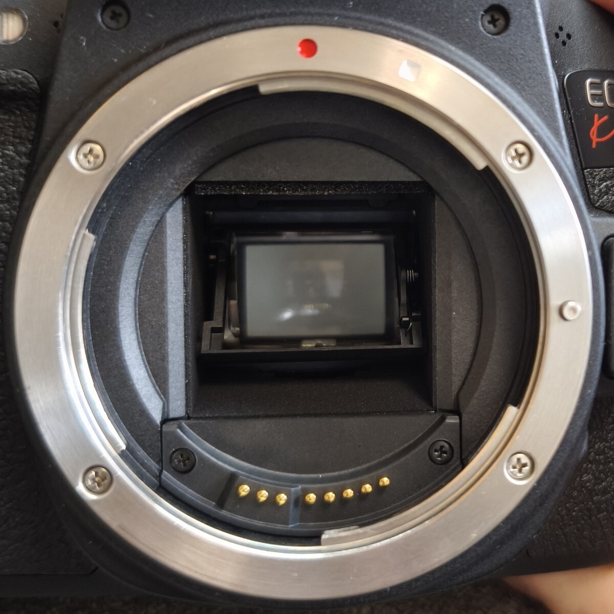 美品 動作品 デジタル 一眼レフ カメラ ボディ 本体 CANON EOS Kiss X8i バッテリー 充電器 付属_画像7