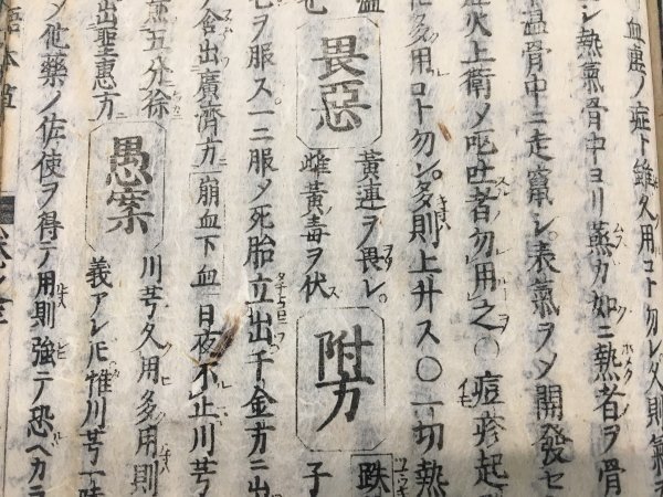  мир язык книга@.. глаз не . 10 . шт. изначальный . 10 один год 