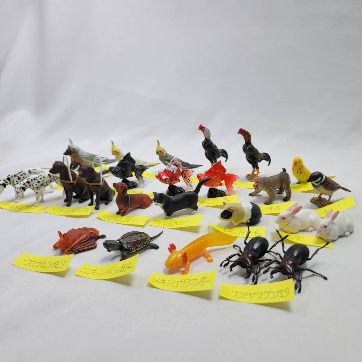 チョコQ ペット動物 22種類 ダブり有 まとめて_画像1