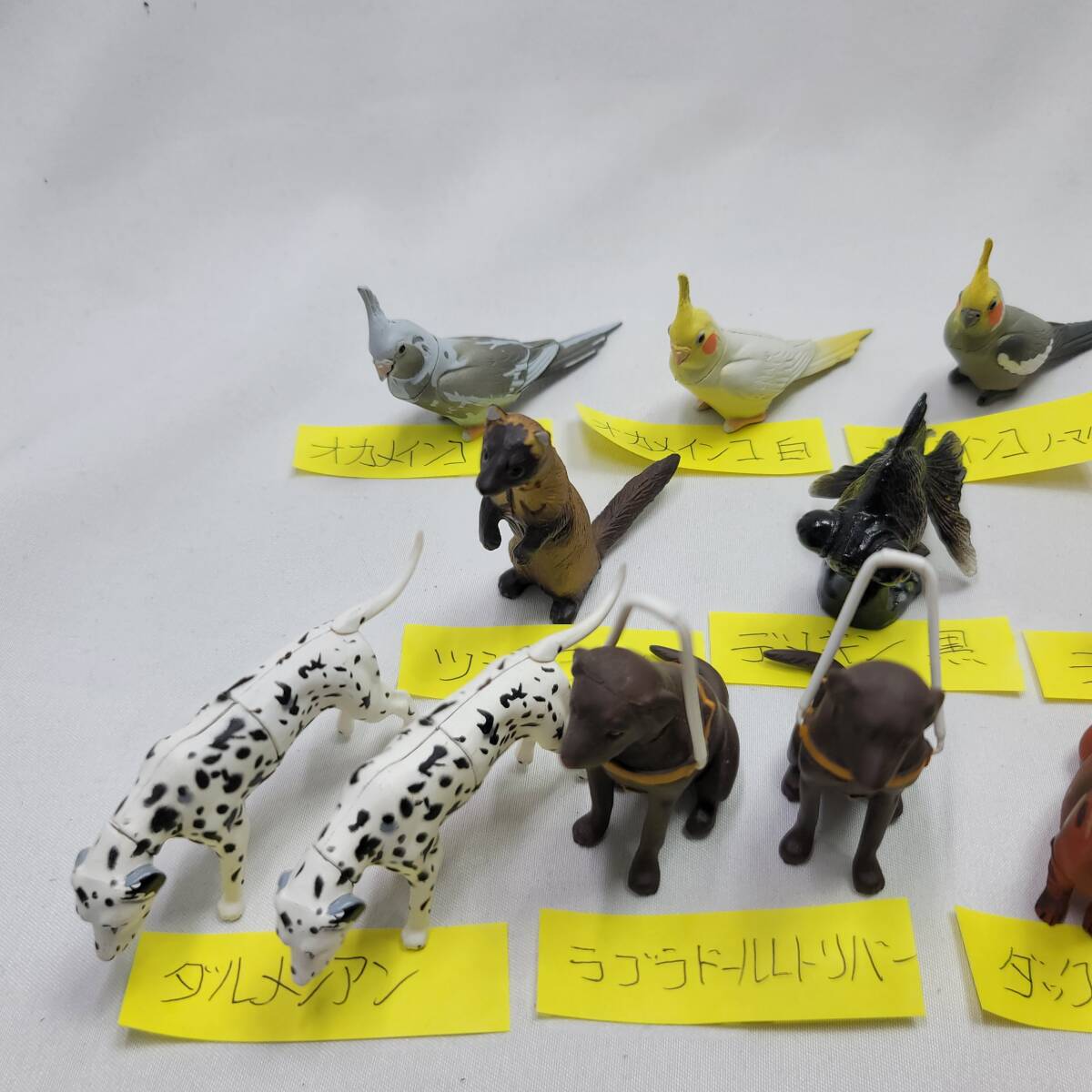 チョコQ ペット動物 22種類 ダブり有 まとめて_画像4