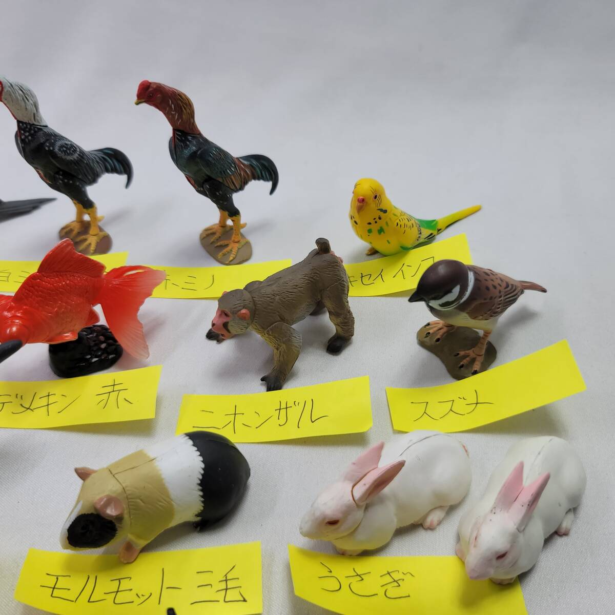 チョコQ ペット動物 22種類 ダブり有 まとめて_画像6
