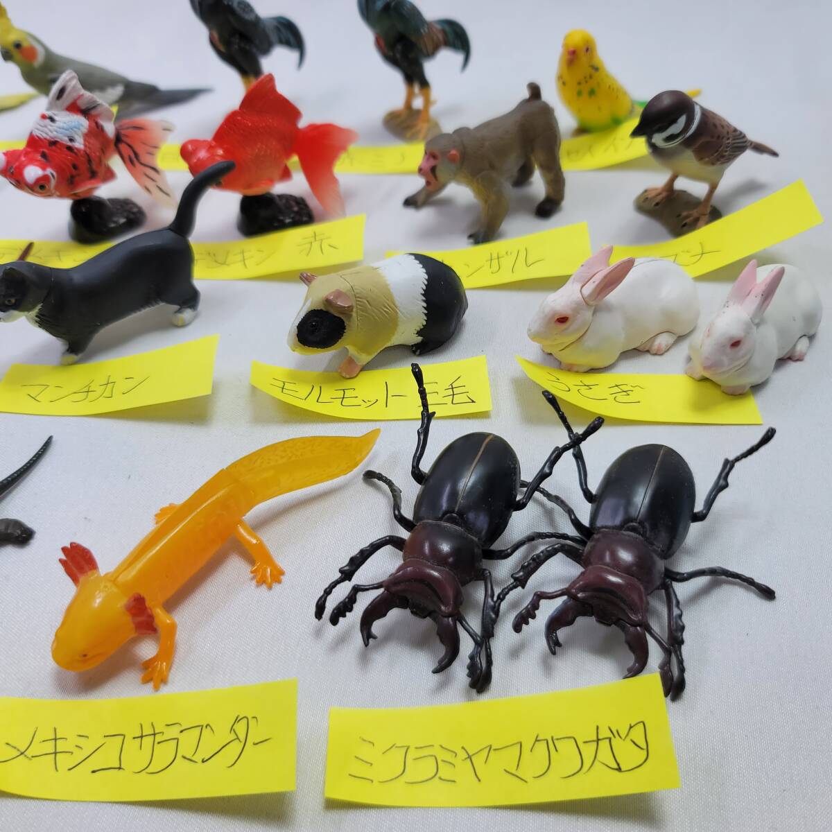 チョコQ ペット動物 22種類 ダブり有 まとめて_画像2