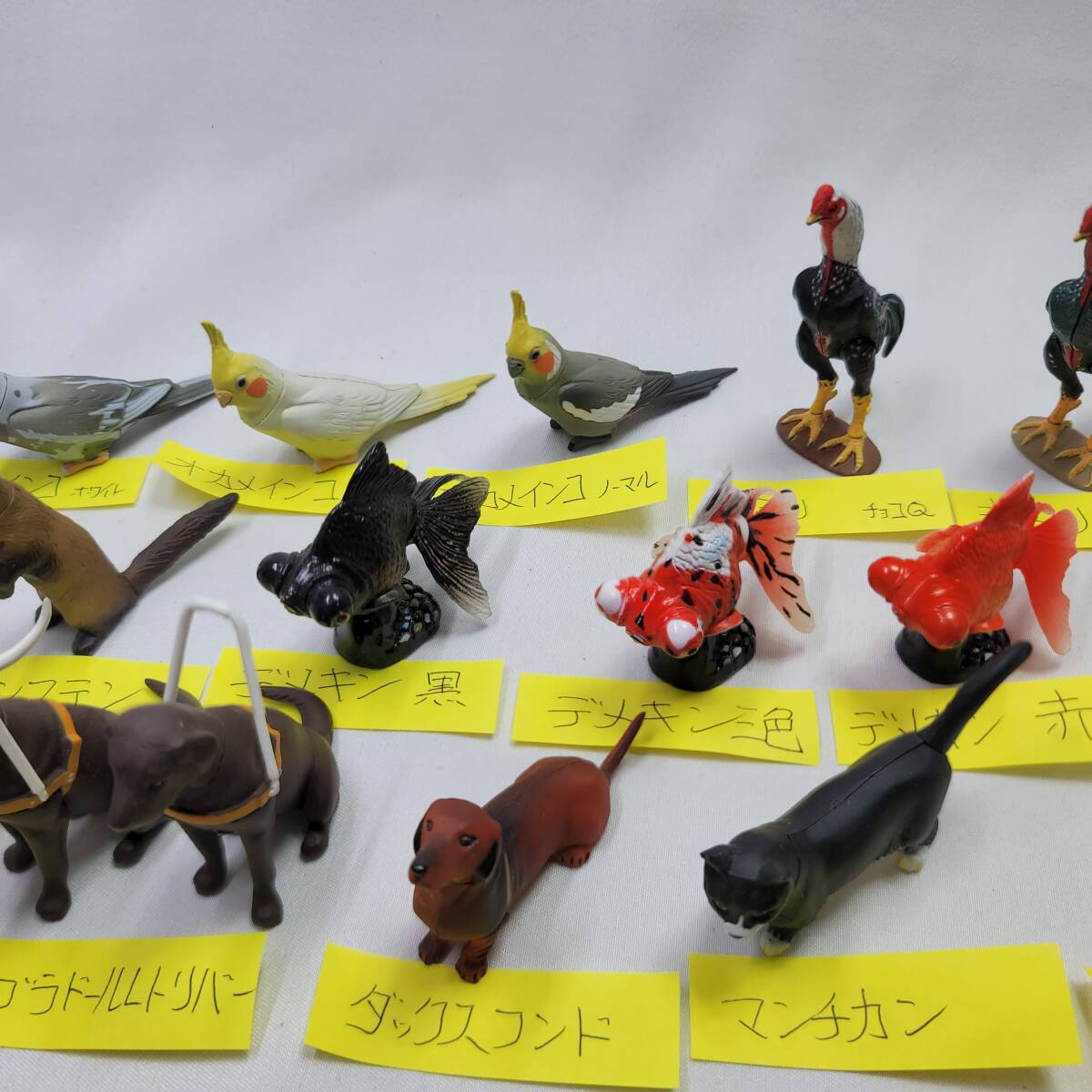 チョコQ ペット動物 22種類 ダブり有 まとめて_画像5