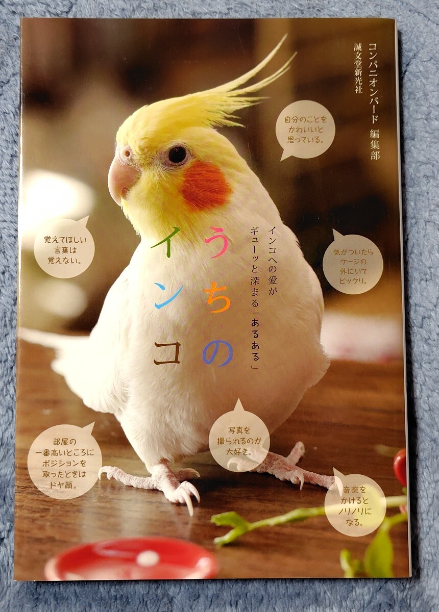 うちのインコ インコへの愛がギューッと深まる「あるある」 (インコへの愛がギューッと深まる「あるある) コンパニオンバード編集部/編_画像1