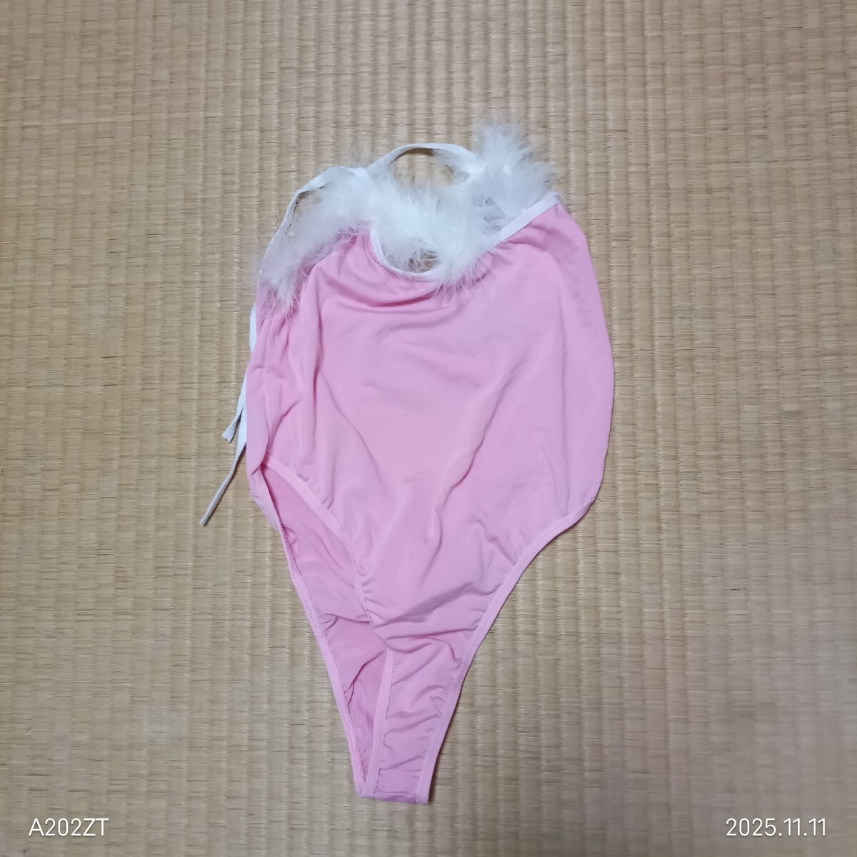 ピンク・バニーガール_画像2