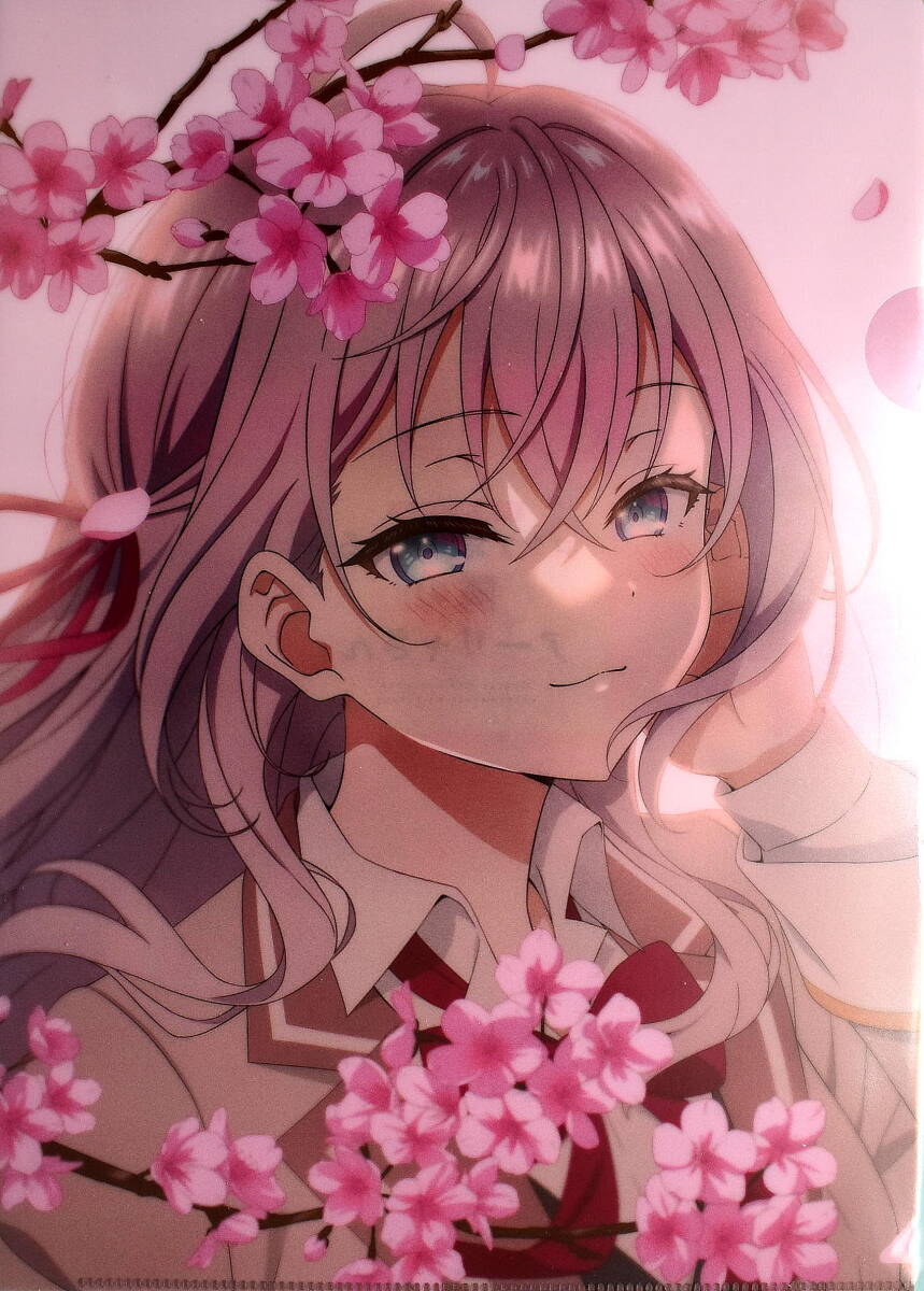  аниме час .boso. русский язык .tere... a- Rya san A4 прозрачный файл комплект . цветок видеть & купальный костюм ver. 2 листов ввод нераспечатанный товар прозрачный файл 