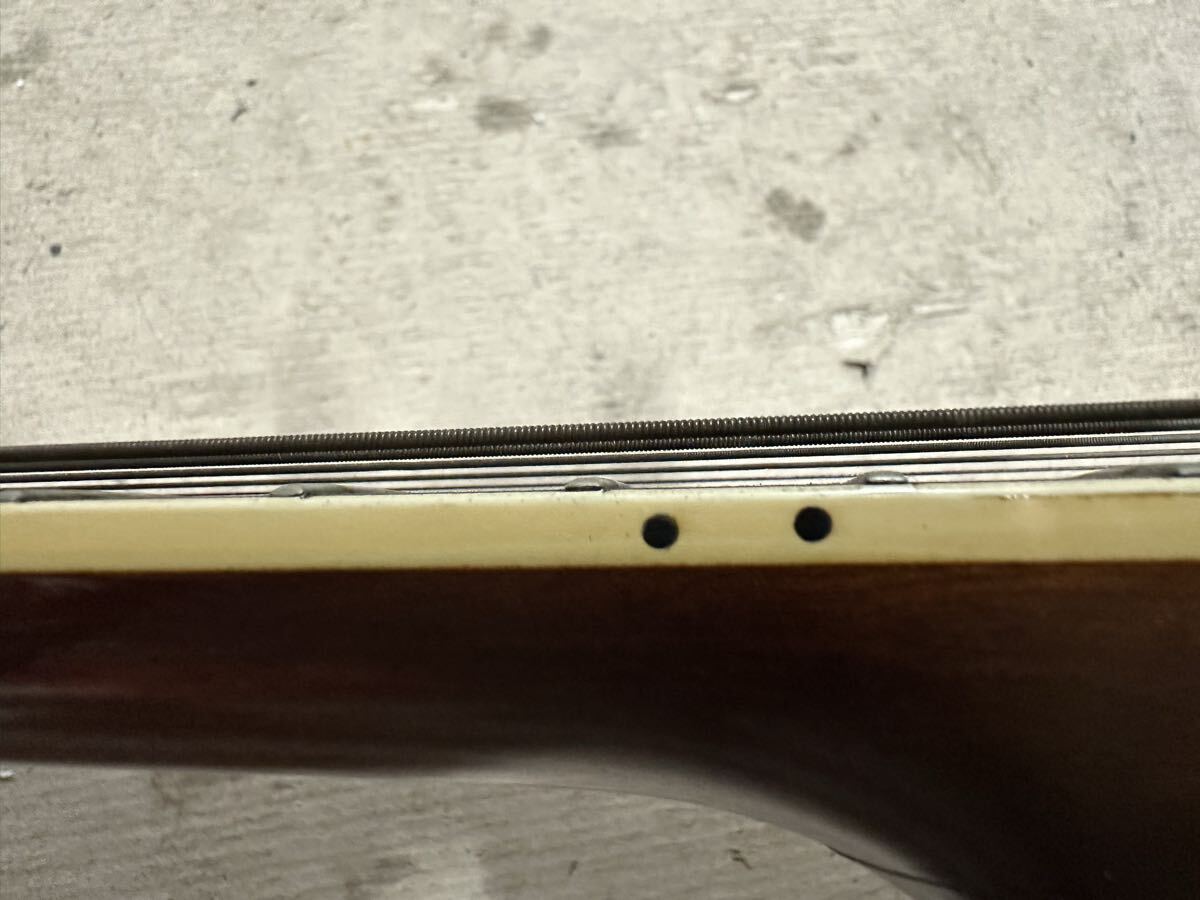 (M)Tornado by Morris Tornado Morris электроакустическая гитара гитара Z-2SE текущее состояние б/у товар 