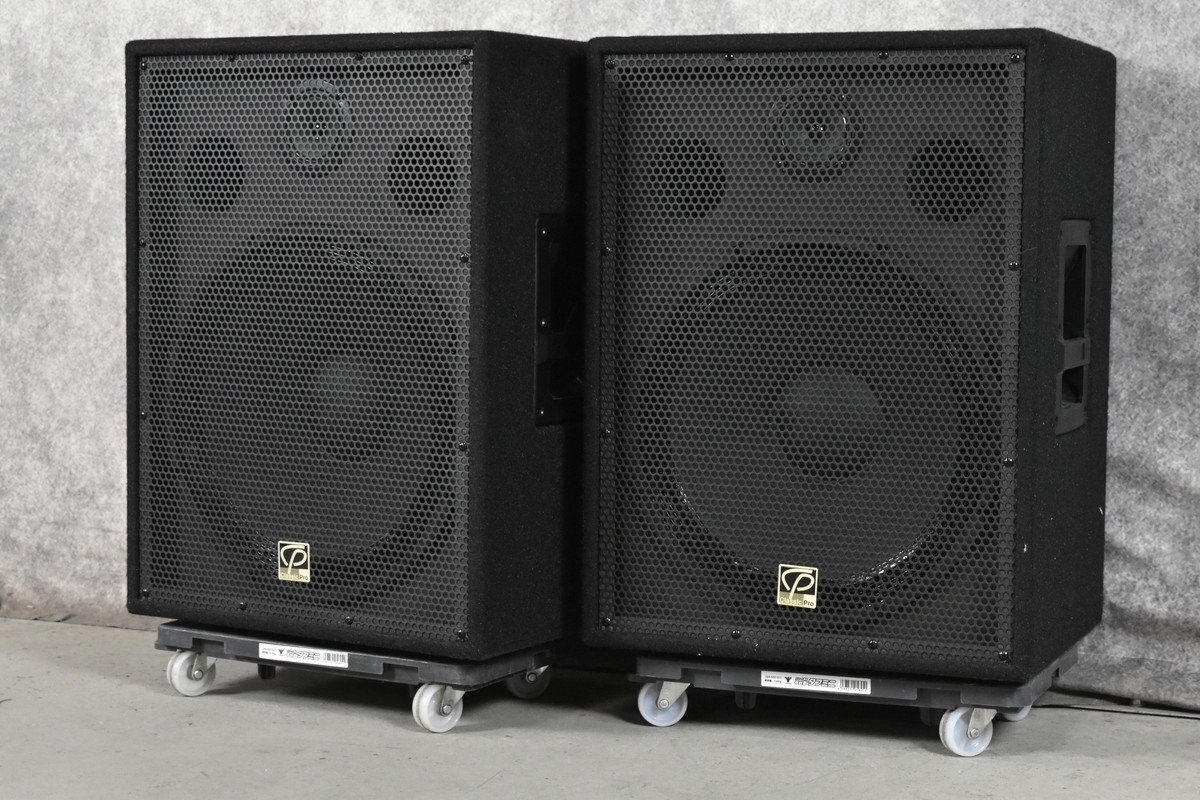 [C]Classic Pro CP15E динамик пара Classic Pro 3158934