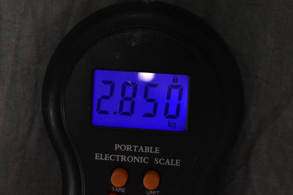 [G]SX GUITARS резонатор гитара 3156377