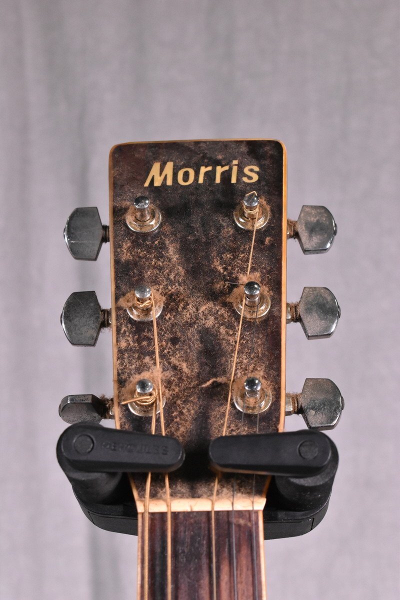 [G]Morris W-30 акустическая гитара Morris 3157707