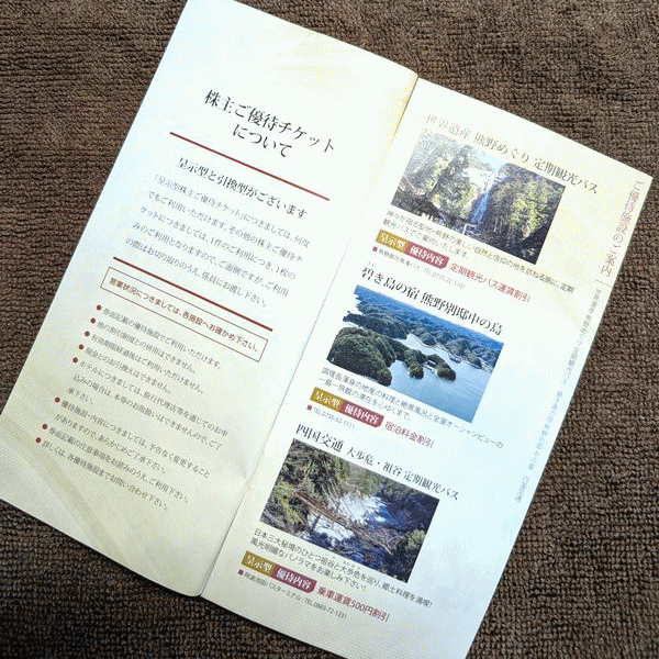 #1 иен ~[ южные моря электро- металлический акционер гостеприимство акционер . гостеприимство билет ] стоимость доставки супер-скидка 200 иен выгодный много. гостеприимство билет . брошюра .! иметь временные ограничения действия 2026 год 7 месяц 31 день выход .