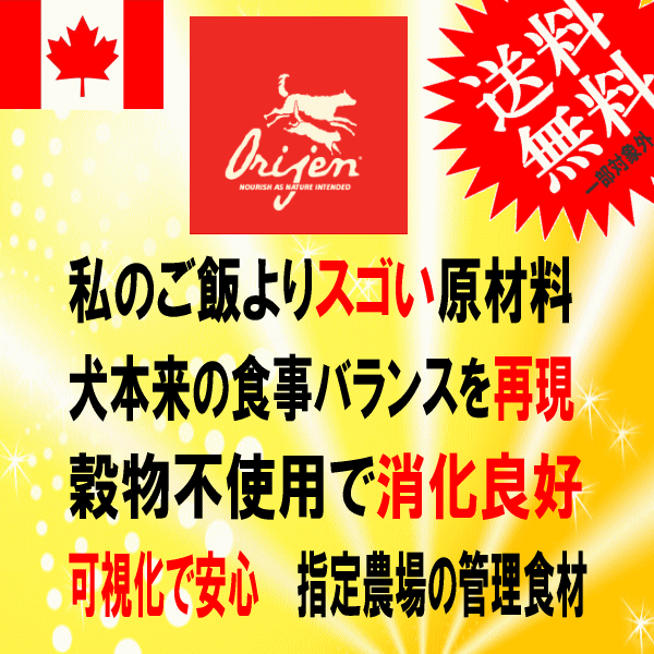 #24444 иен ~# бесплатная доставка![ Origin корм для собак sinia]11.4kgsinia собака. здоровье для поддержания не возможно нет . животное . белок . изобилие .. иметь сделал капот 