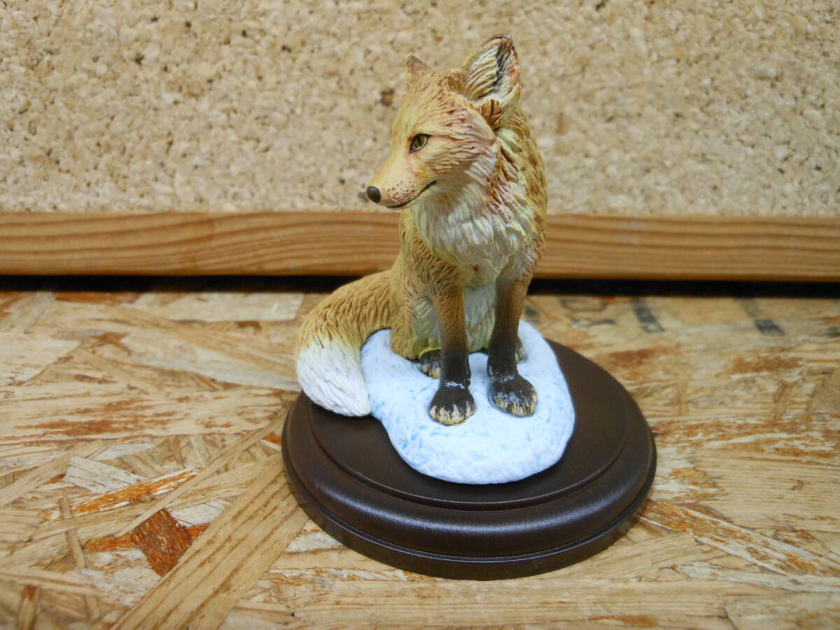 中古■いきもの大図鑑　野生のイヌ科動物　狐_画像5