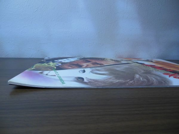 パンフ　山いぬ　ジャン・マリア・ボロンテ　ステファニア・サンドレッリ　カルロ・リッツァーニ　マカロニウェスタン_画像4