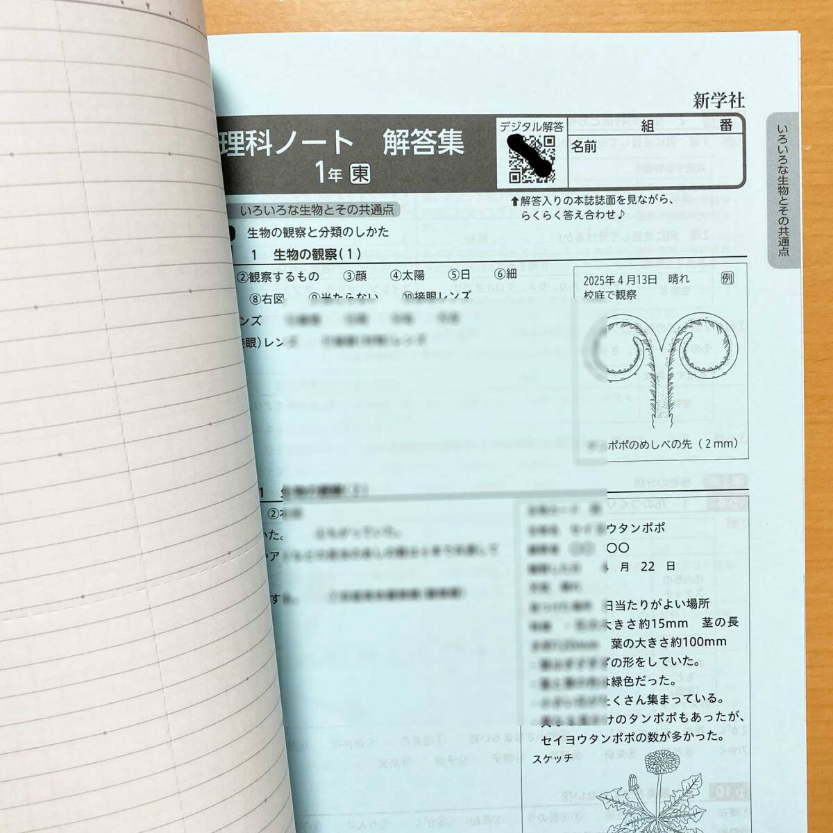 2025年度版「理科ノート 1年 東京書籍版 解答集 板書例 付」新学社 答え 解答 東書 東 理科 ワーク_画像5