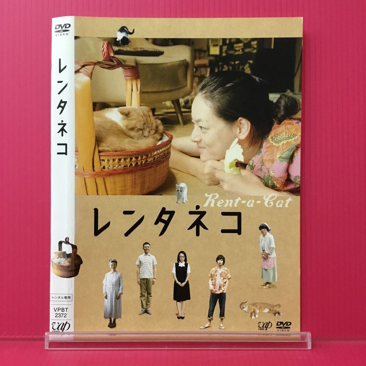 A2333-9☆中古☆レンタネコ 市川実日子【レンタル落ち】【DVD】_画像1