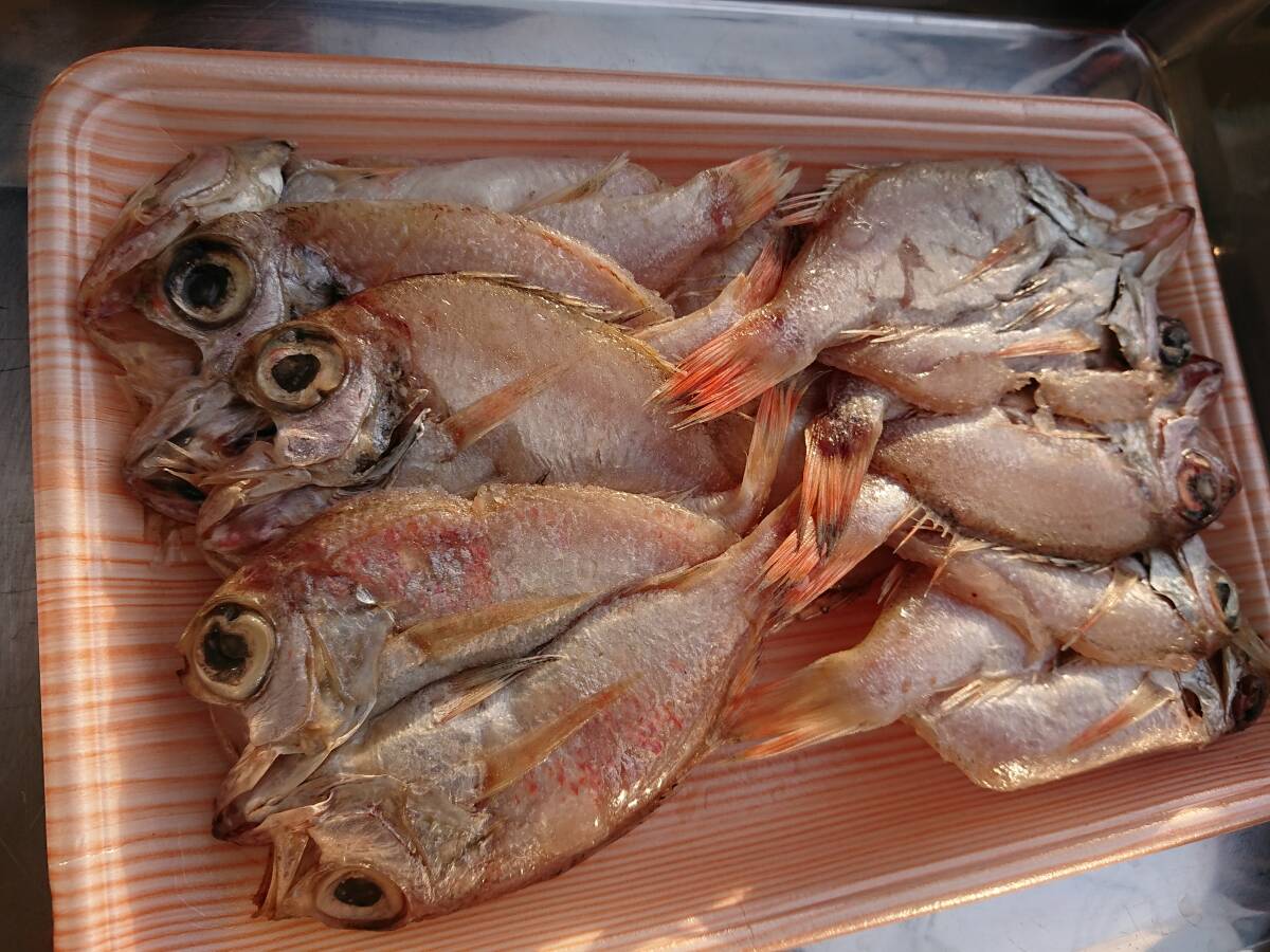 ☆残りわずか　早いもの勝ち*　山陰産（島根・鳥取）　のどぐろ開き干し　合計３００ｇ（６～７尾入り）　冷凍_画像1