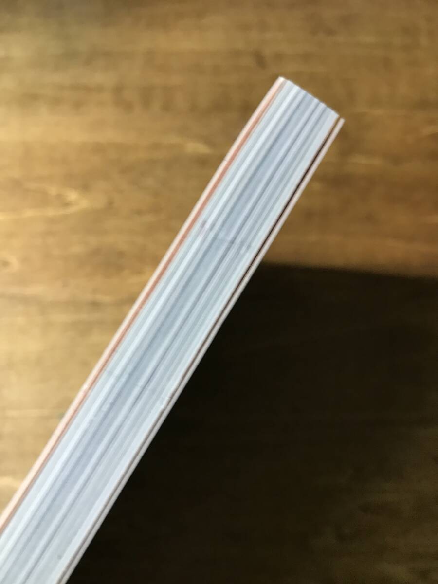 初心者でもカンタン！ らくらくアムウェイクィーン レシピ集 AMWAY QUEEN_画像5