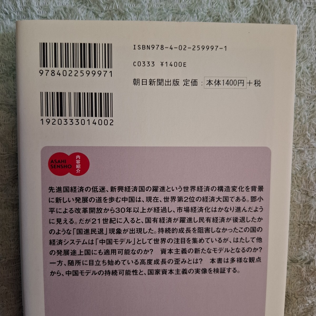 ２１世紀の中国　政治・社会篇　経済篇　軍事外交篇 （朝日選書　８９３・５・７） 毛里　和子　他著　加藤　千洋　他著　プチプチ梱包_画像6