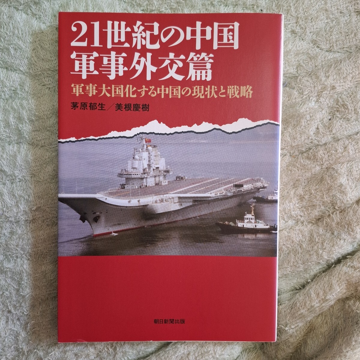 ２１世紀の中国　政治・社会篇　経済篇　軍事外交篇 （朝日選書　８９３・５・７） 毛里　和子　他著　加藤　千洋　他著　プチプチ梱包_画像7