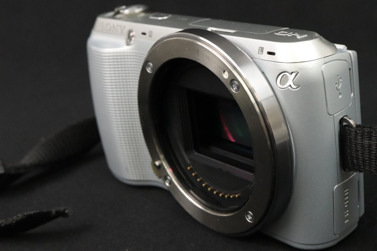 SONY Sony α NEX-C3 линзы 2 шт. комплект 24mm F2.8 блин / 18-200mm F3.5-6.3 беззеркальный однообъективный цифровая камера [.irodori]5