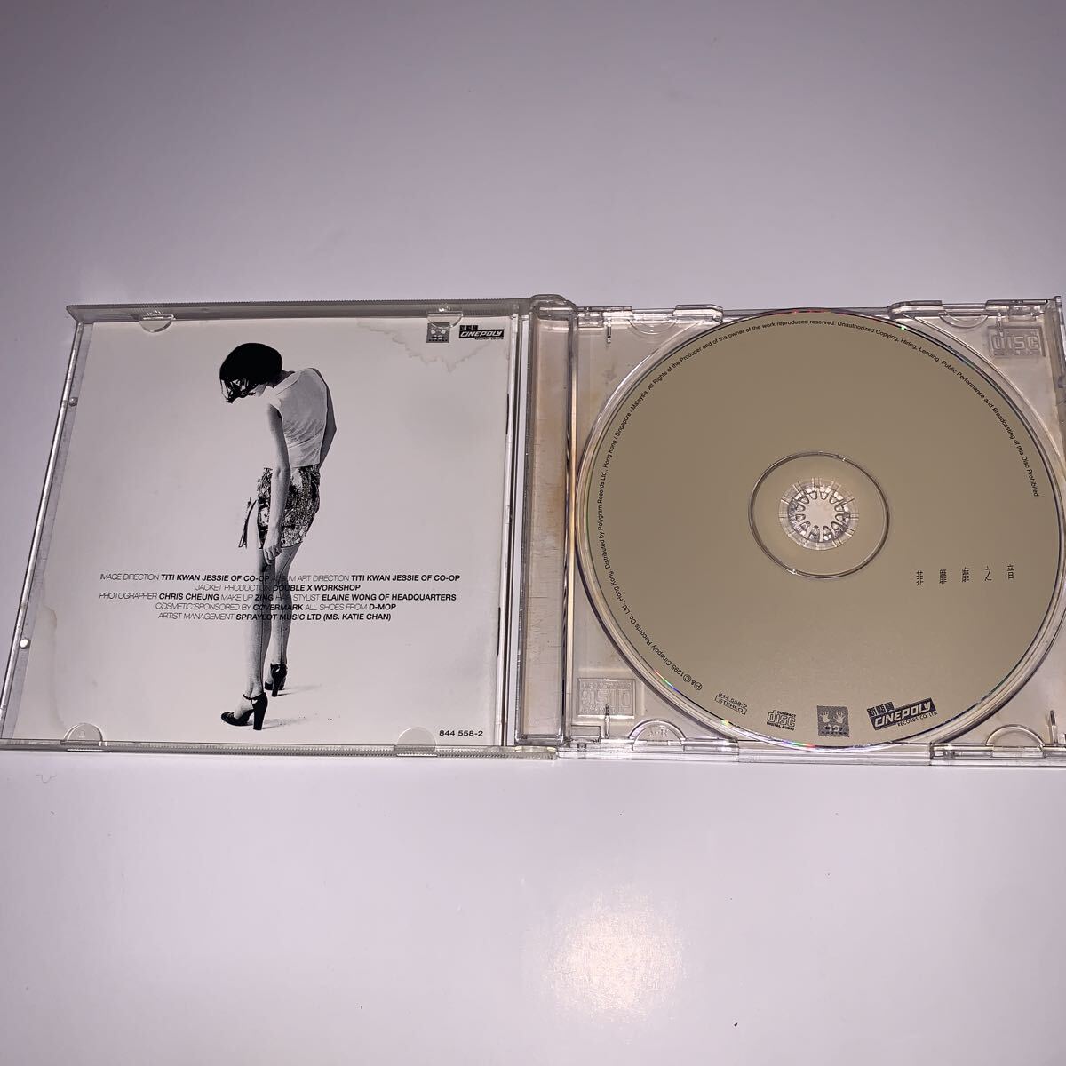 FAYE WONG FAYE WONG 菲靡靡之音 PHILIPPINE VOICE フェイ ウォン 王菲 CD 希少_画像3