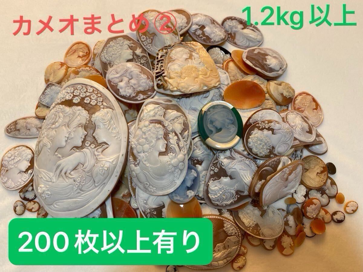 大量カメオまとめ②シェルカメオ 作家物CAMEO貝ルース 裸石 アクセサリー ジュエリー 重さ:1.2kg以上検:カメオ彫刻珊瑚翡翠真珠送料無料 _画像1