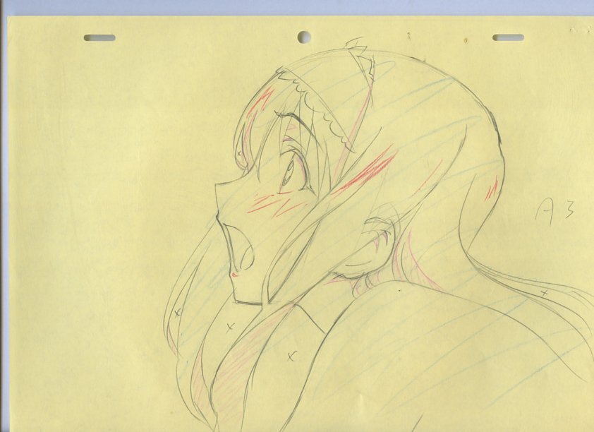 Aセル画　原画 IS （Infinite Stratos）　其の853_画像4