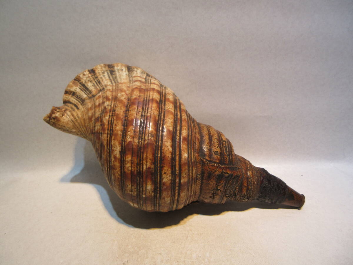 T3115 буддизм изобразительное искусство времена предмет .. закон . закон .. ho la. гора .. line длина 37.5cm