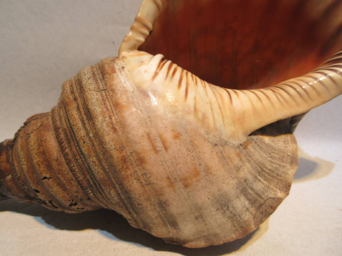 T3115 буддизм изобразительное искусство времена предмет .. закон . закон .. ho la. гора .. line длина 37.5cm