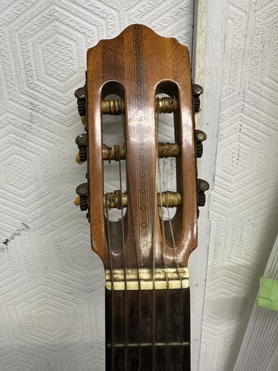 阿部ガットギター　AG 6F 725022 T1112100_画像4