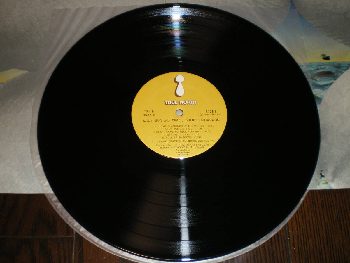 ♪カナダ盤 true north盤 Bruce Cockburn / Salt Sun and Time / オリジナル盤♪_画像4
