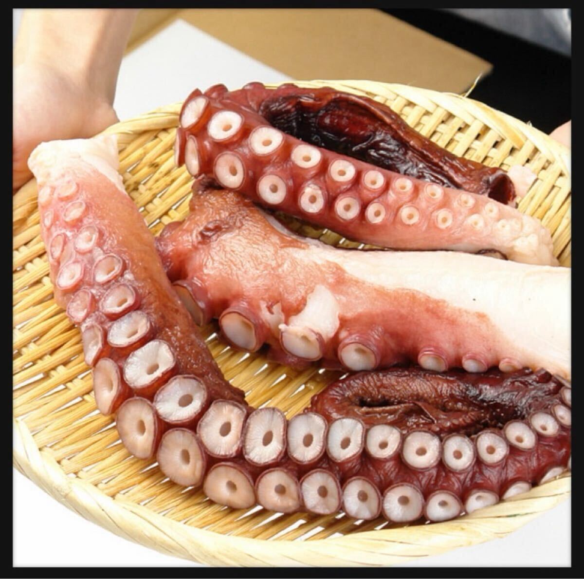 三陸産　真蛸　真空個包装　1kg ボイル済み　産地直送　おすすめ品　 ボイルタコ 足 冷凍 たこ足 蛸　真空個包装で使いやすい　美味しい_画像4