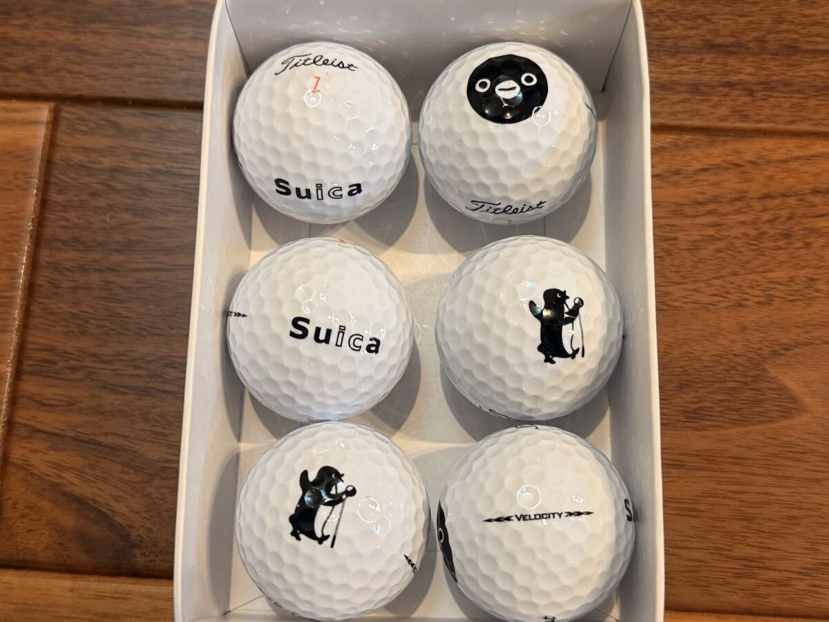 мяч для гольфа Suica. пингвин