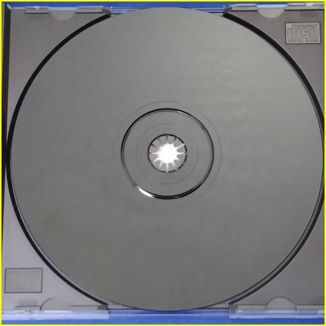 【PS1ソフト/USED】 『死者の呼ぶ館 Pandora Max Series Vol.2』/プレイステーション/PlayStation/ゲームソフト_画像5