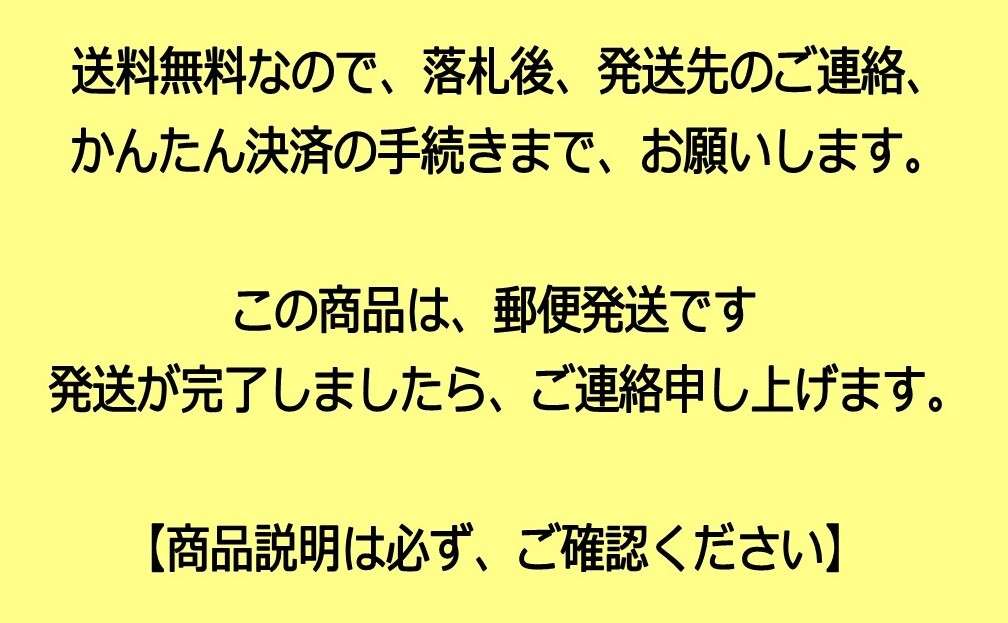 送料込み！高性能シンタードメタルパッド XB9R/S/SX XB9S Lightning XB12R/S フロント用 新品_画像4