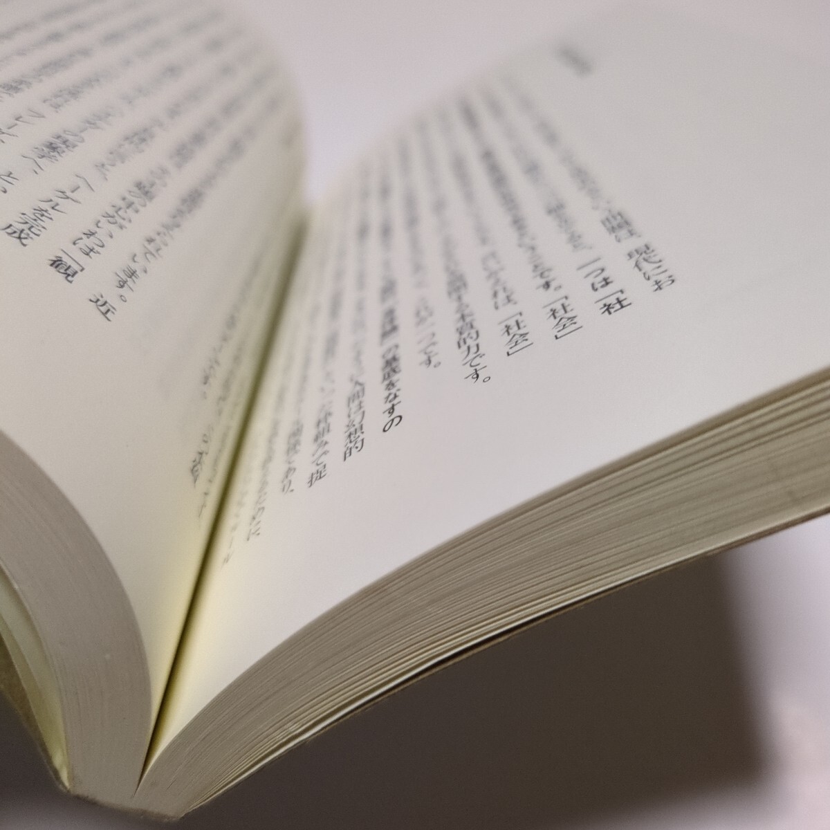 現象学は〈思考の原理〉である （ちくま新書　３９３　シリーズ・人間学　３） 竹田青嗣 中古_画像6