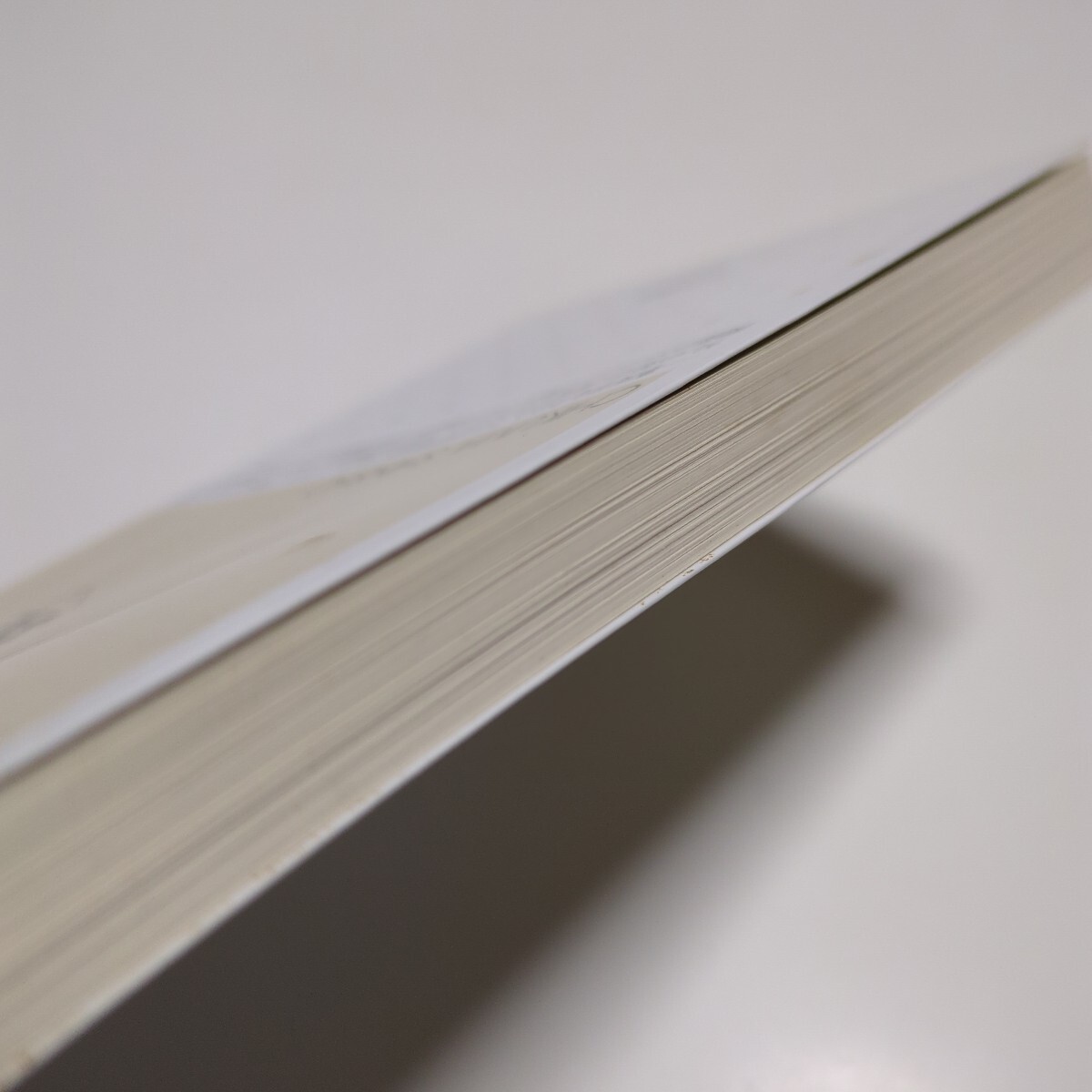 現象学は〈思考の原理〉である （ちくま新書　３９３　シリーズ・人間学　３） 竹田青嗣 中古_画像8