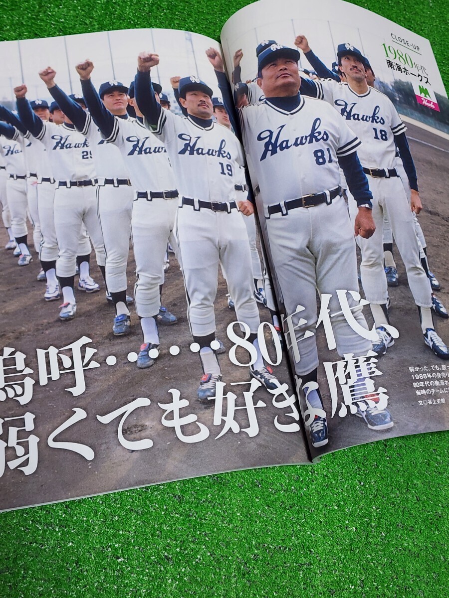 野村克也 追悼号　2020年　ベースボールマガジン　大阪慕情　愛と憎しみの南海ホークス　月見草の詩　杉浦忠　江夏豊　南海身売りの舞台裏_画像7