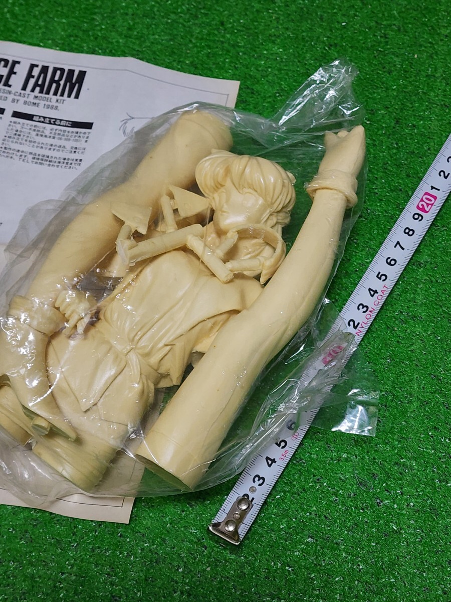 超音戦士ボーグマン アニス・ファーム KAIYODO 1/6scale レジン ガレージキット フィギュア 原型ボーメ BORG GET ON! _画像4