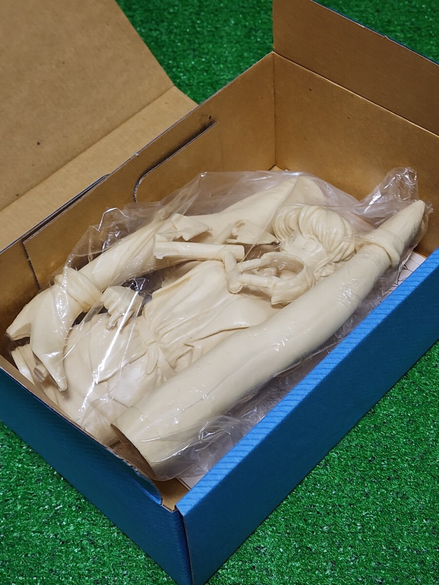 超音戦士ボーグマン アニス・ファーム KAIYODO 1/6scale レジン ガレージキット フィギュア 原型ボーメ BORG GET ON! _画像5