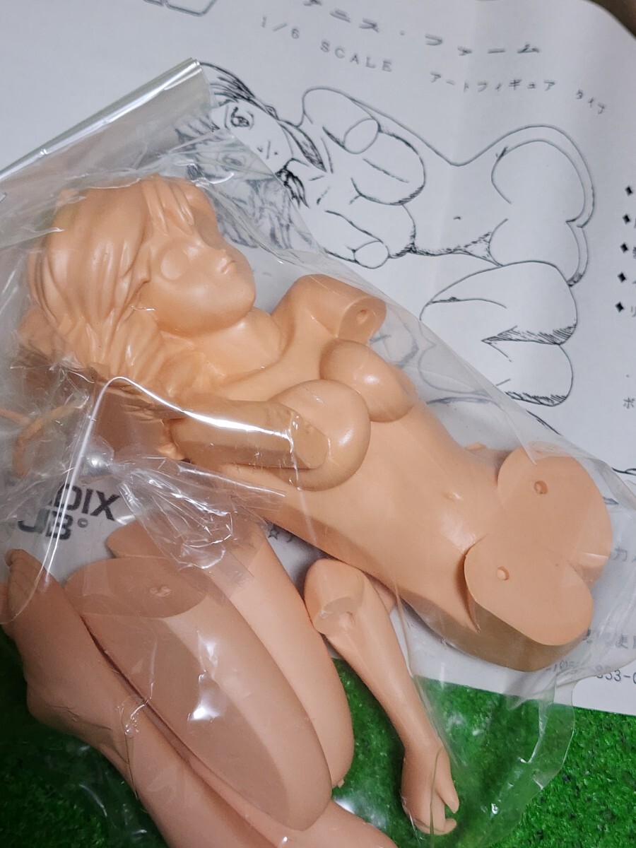 超音戦士ボーグマン　アニス・ファーム　レジン　ガレキ　1/6scale　フィギュア　未組立未塗装　月刊ニュータイプ　ワンフェス_画像4